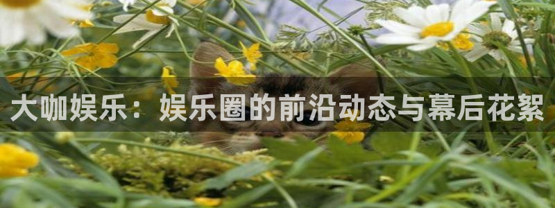 三牛娱乐：大咖娱乐：娱乐圈的前沿动态与幕后花絮
