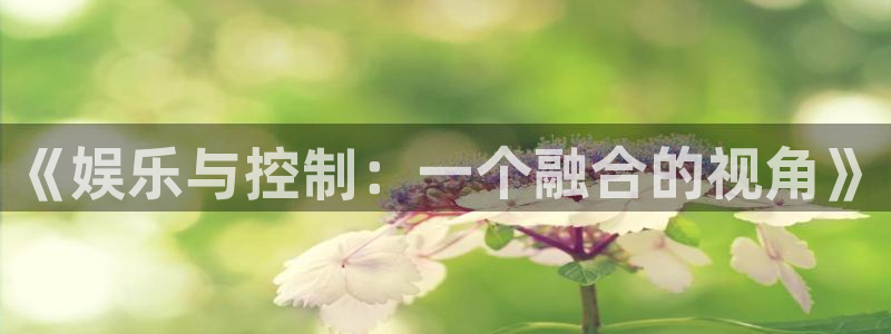 三牛娱乐：《娱乐与控制：一个融合的视角》