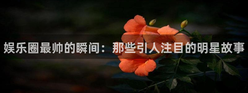 三牛娱乐：娱乐圈最帅的瞬间：那些引人注目的明星故事