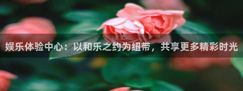 三牛娱乐：娱乐体验中心：以和乐之约为纽带，共享更多精彩时光