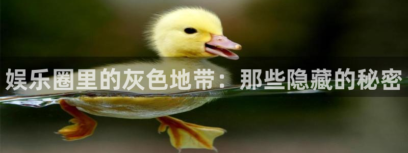 三牛娱乐：娱乐圈里的灰色地带：那些隐藏的秘密